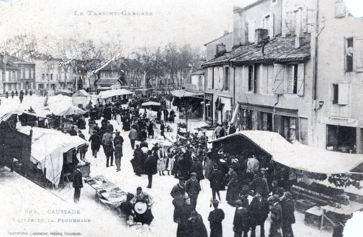 Foire à la porcherade de Caussade, rassemblement d'éleveurs